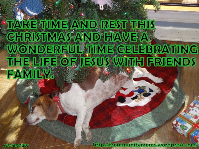 MERRY CHRISTMAS WITH SISSY 2014 -BLOG