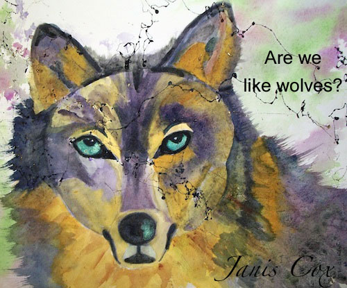 Are-we-like-wolves-