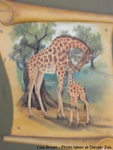Giraffes